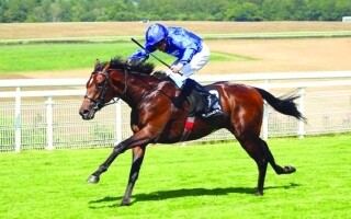 Уммори Сити нацеливается на победу в Национальных ставках