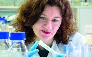 Более 40 миллионов используют ДНК-тесты для получения гражданства