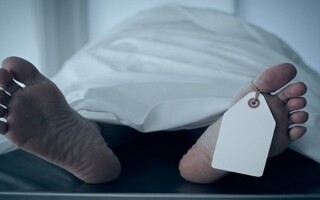 Dublin Body Case Under Review After Year of Being Unidentified